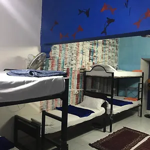 Auberge de jeunesse Brisbane &, Kochi
